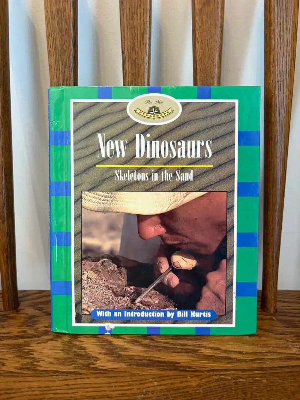 New Explorers New Dinosaurs: Skeletons in the Sand Hardcover Book
